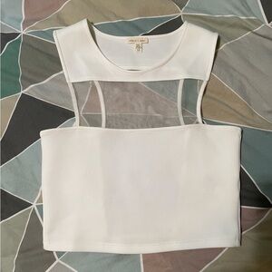 Urban Outfitters White Mesh Crop Top
